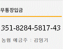 무통장 입금안내 은행: 123-456-78910 예금주: 홍길동